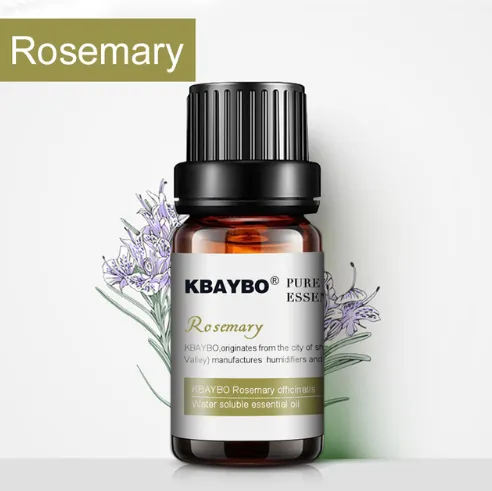 Botanical Aromatherapy Essential Oil Rosemary - Shop at LoveMi