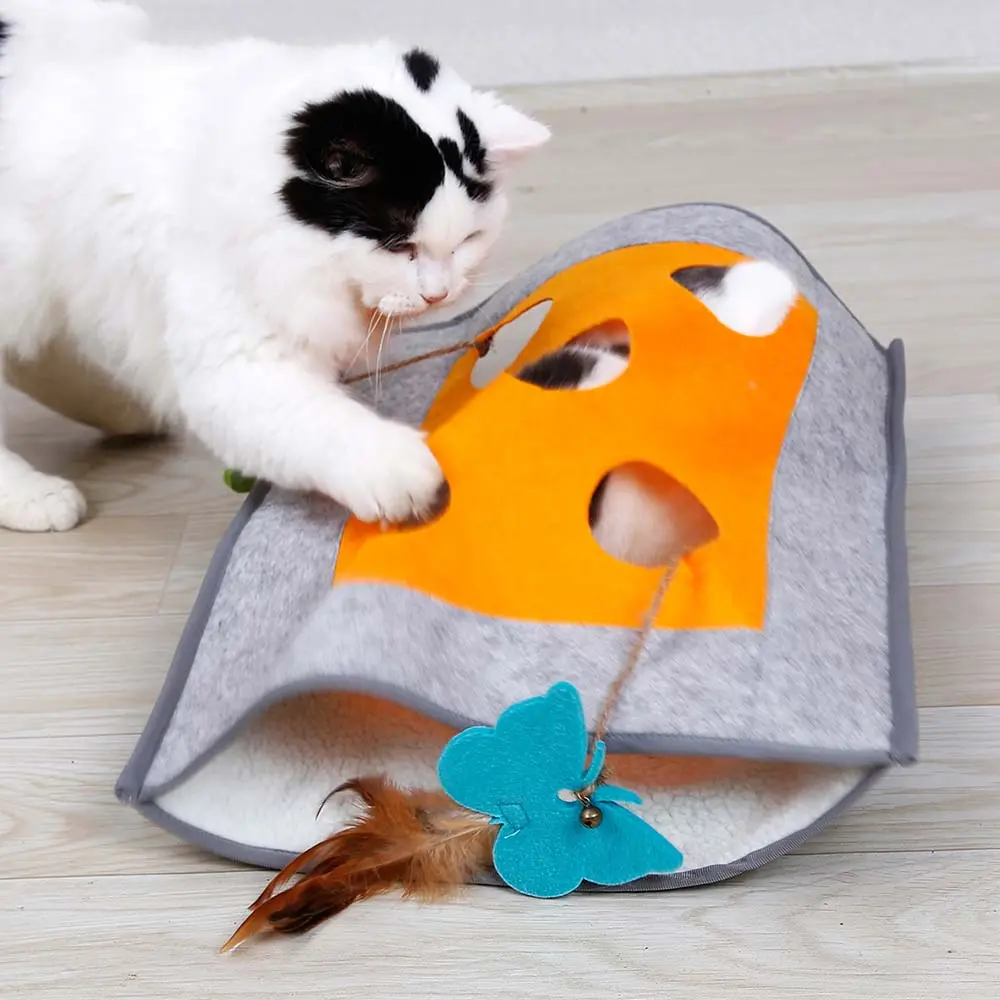 Cat Scratching a Blanket