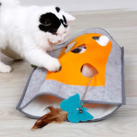 Cat Scratching a Blanket