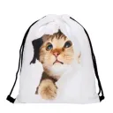 Little Cat