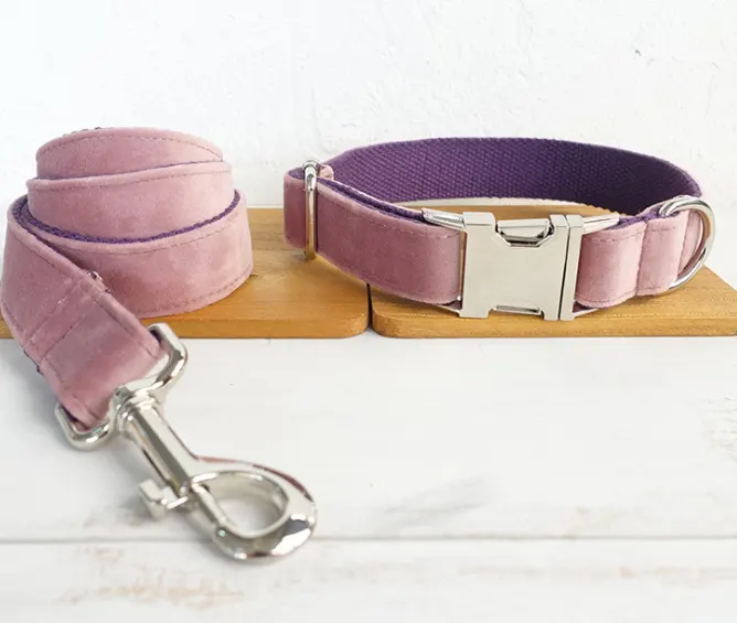 Dog Leash Pet Collar