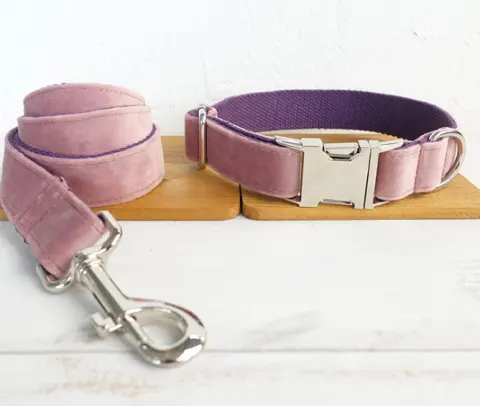 Dog Leash Pet Collar