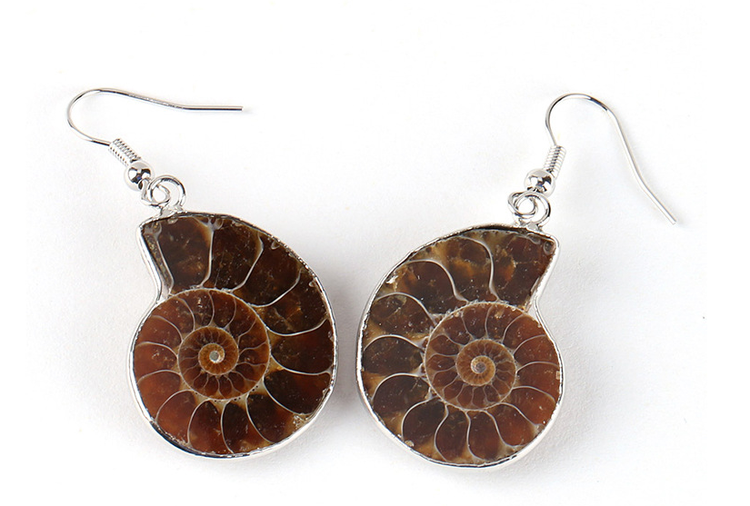 Natural Snail Ammonite Spiral Shell Fossil Earrings