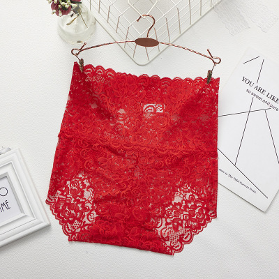 Lace Sheer Briefs Scarlet - Shop at LoveMi