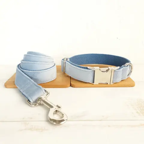 Thick Pet Collar