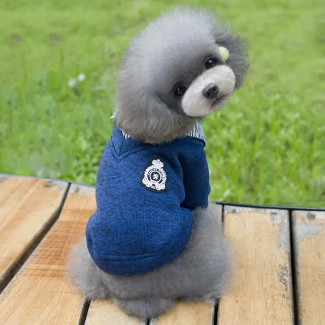Lapel Dog Sweatshirt Blue - Shop at LoveMi