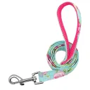 Mint Green Leash