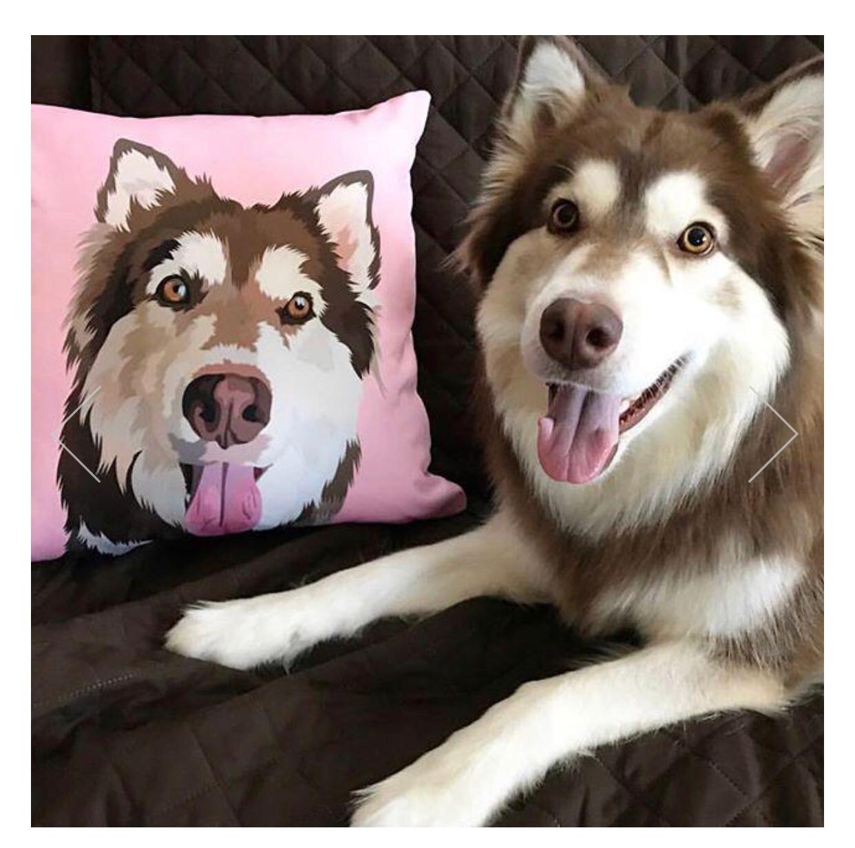 Customized Throw Pillow (40x40-No Core-Oneside)