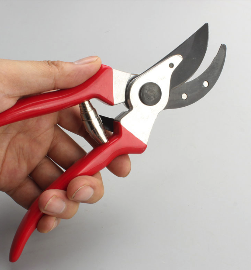 Hand pruning shear