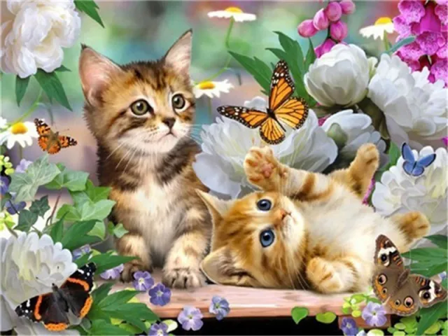 Cat Animal Square Diamond CrossStitch - Shop at LoveMi