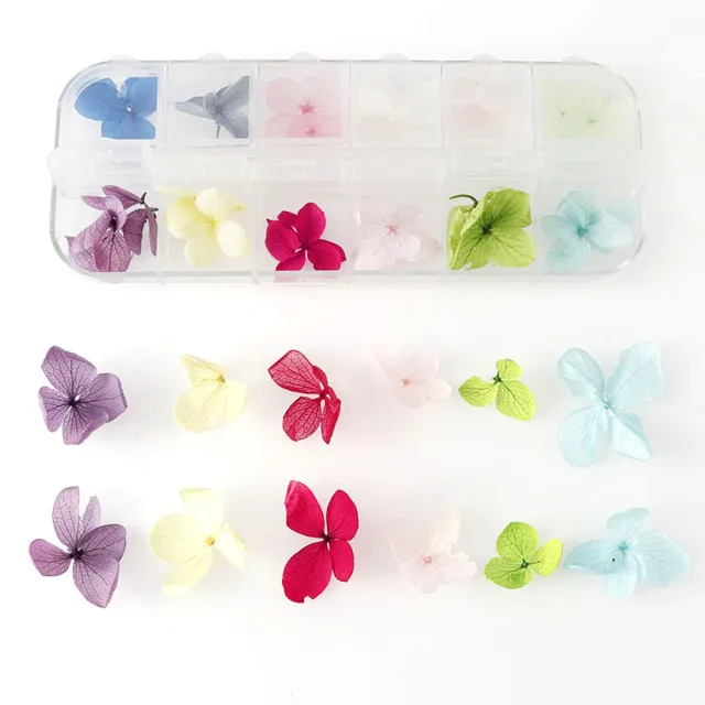 12 Box Box Nail Dry Flower Jewelry I - Shop at LoveMi