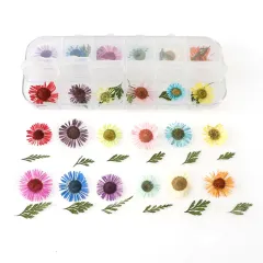12 Box Box Nail Dry Flower Jewelry - K - View 1