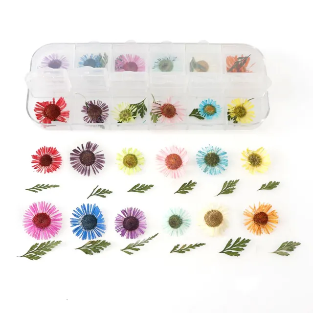 12 Box Box Nail Dry Flower Jewelry K - Shop at LoveMi