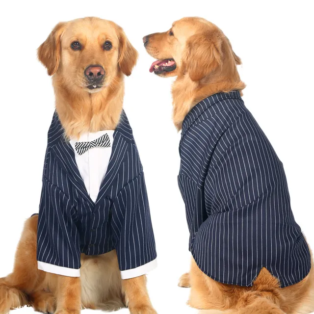 Striped bow tie suit dog clothes Stripe - Shop at LoveMi
