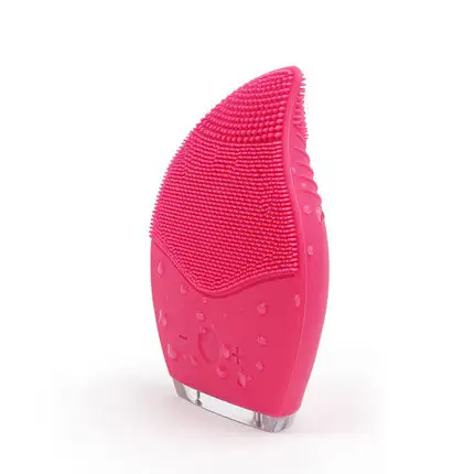 Cleansing instrument