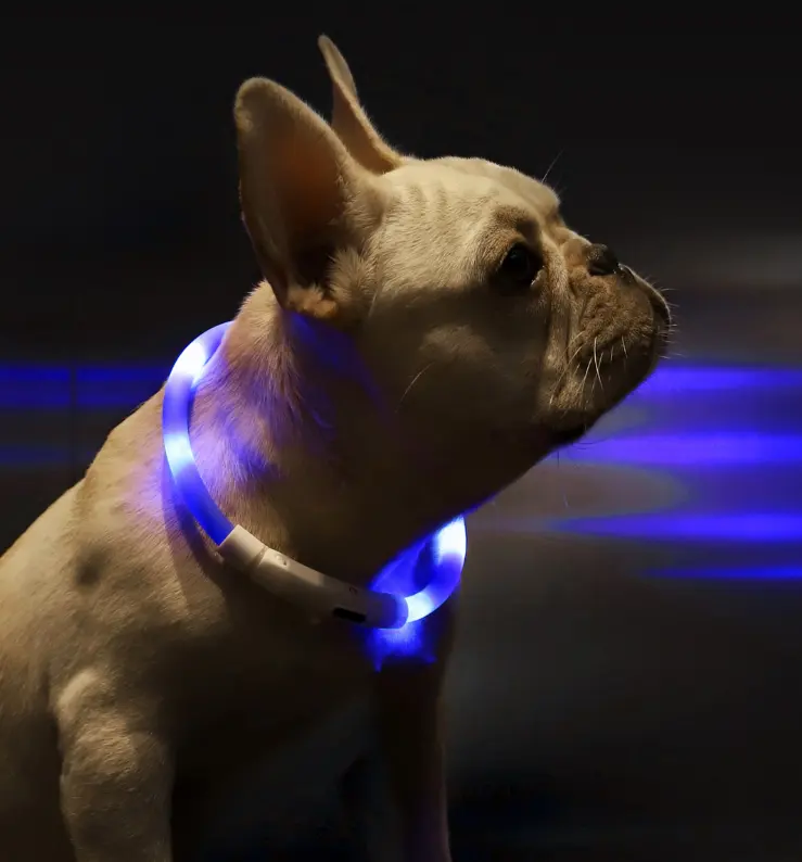 Pet Light Collar Anti-Lost