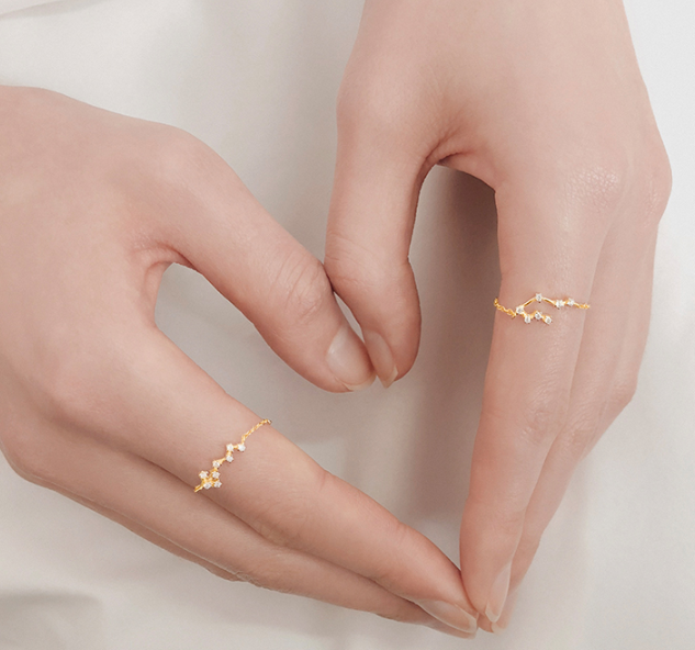 Zodiac ring s925 sterling silver ring