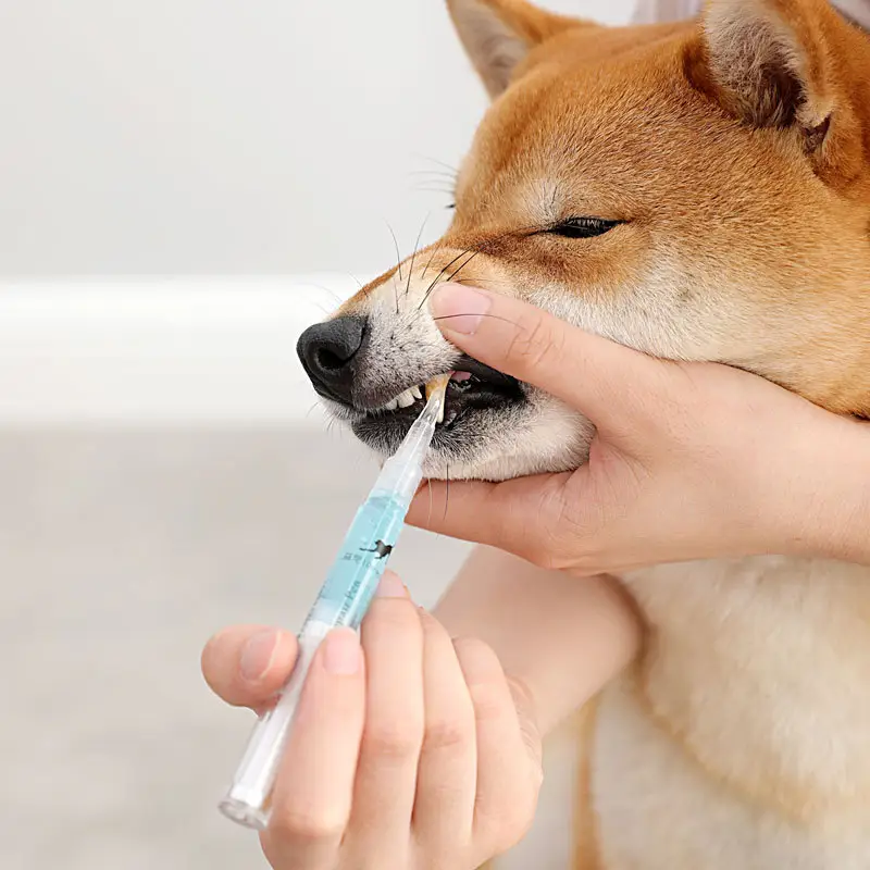 Pet Teeth Repairing Kit for Dog Cat Cleaning Pen