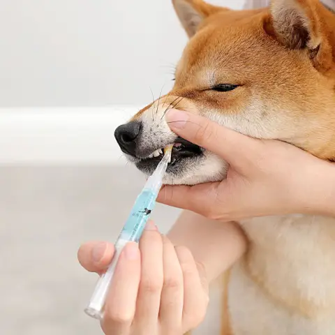 Pet Teeth Repairing Kit for Dog Cat Cleaning Pen