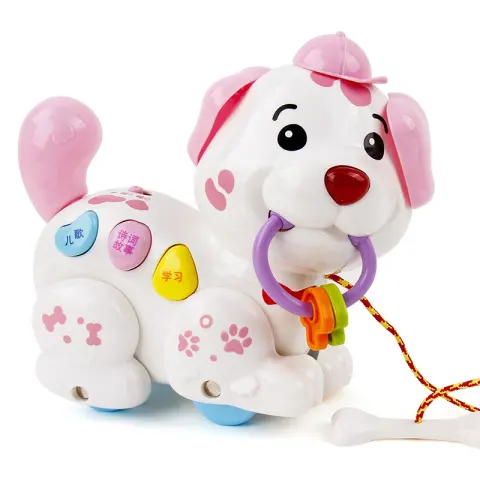 Dog Early Education Haul Toy