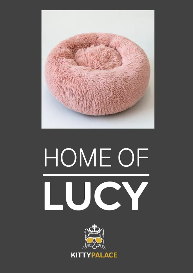Pet bed with customized pet carpet Pink - Shop at LoveMi