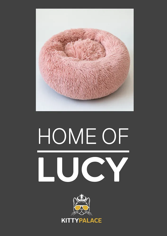 Pet bed with customized pet carpet - Pink