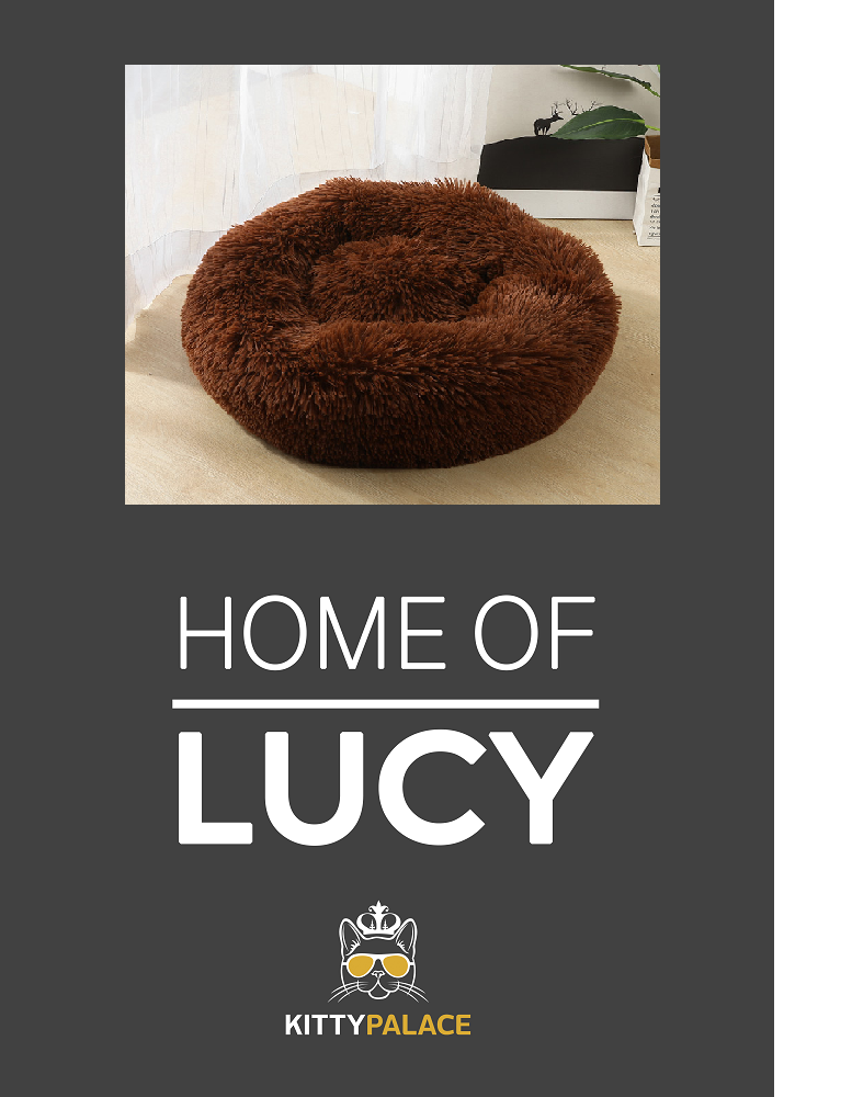 Pet bed with customized pet carpet Brown - Shop at LoveMi