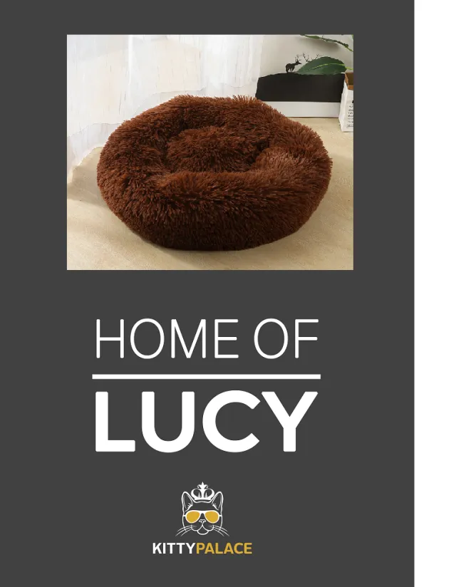 Pet bed with customized pet carpet Brown - Shop at LoveMi