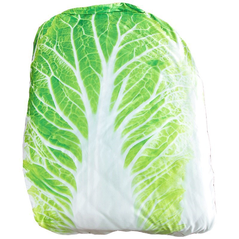 Cabbage