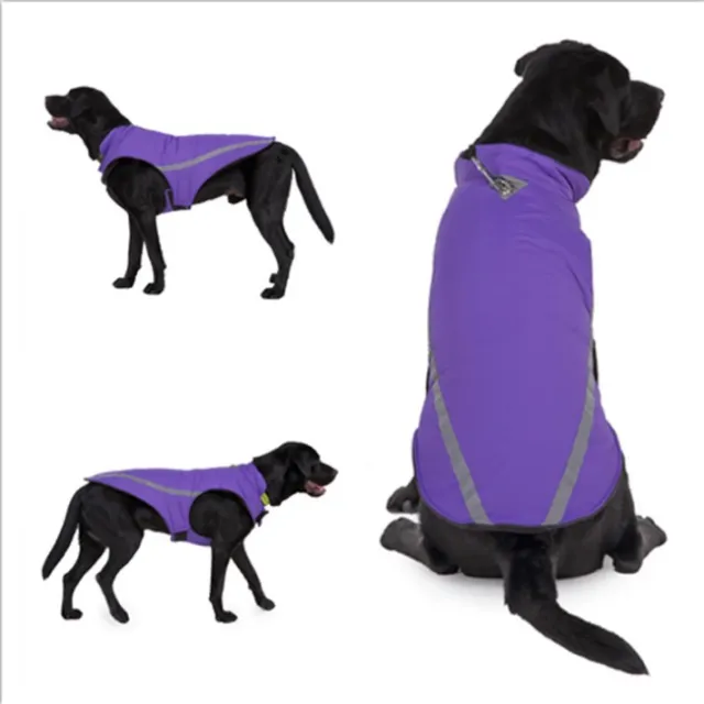 Dog clothes autumn winter clothes winter coats Purple - Shop at LoveMi