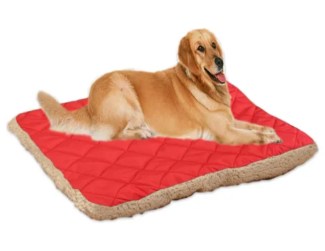Pet ice silk cushion Red - Shop at LoveMi