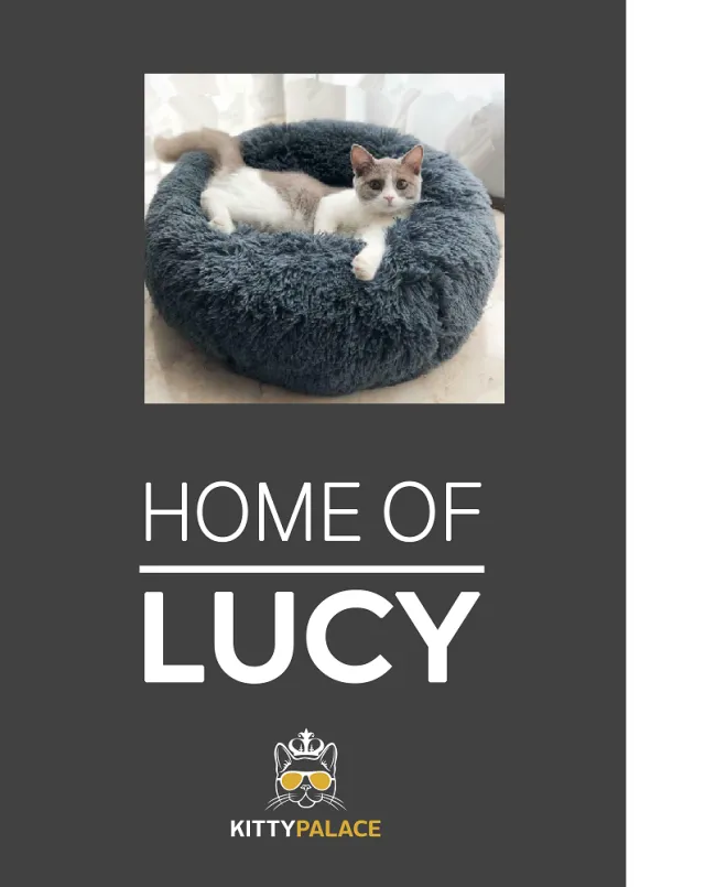 Pet bed with customized pet carpet Dark Grey - Shop at LoveMi