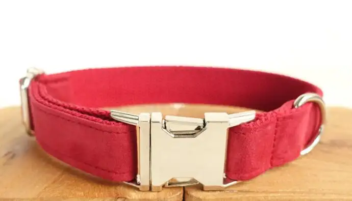 Pet Traction Collar Dog