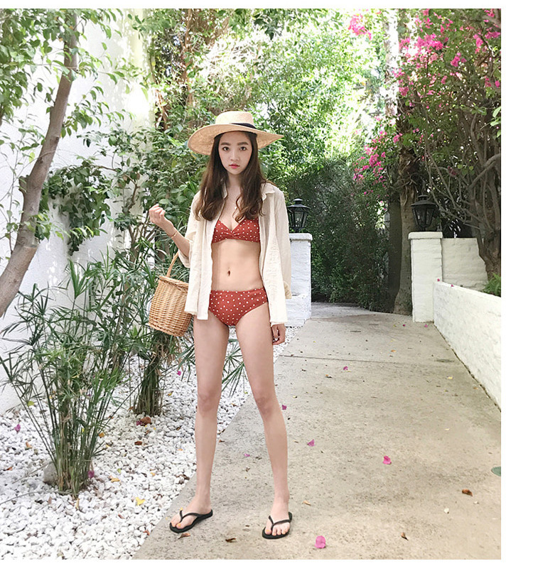 Backless split bikini
