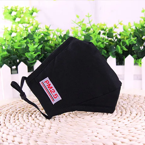 PM2.5 Cotton Mask