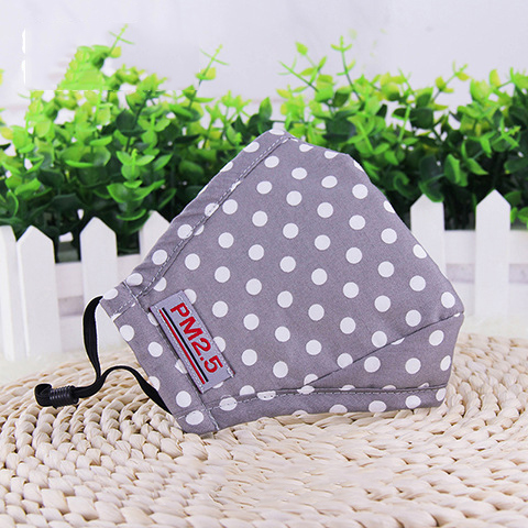 PM2.5 cotton mask Grey Point - Shop at LoveMi