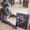 20X25Cm