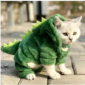 Pety Green Tyrannosaurus Rex Hooded Coat Green - Shop at LoveMi