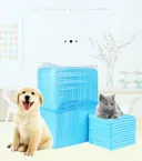Q100Pcs