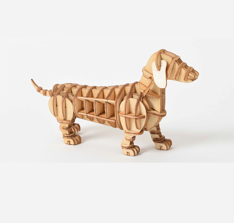 Dachshund