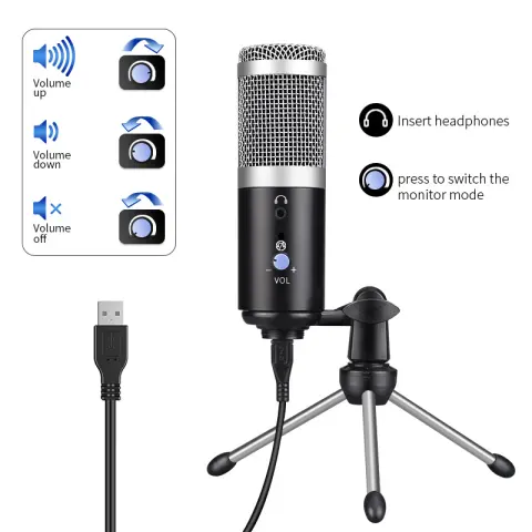 Computer Microphone