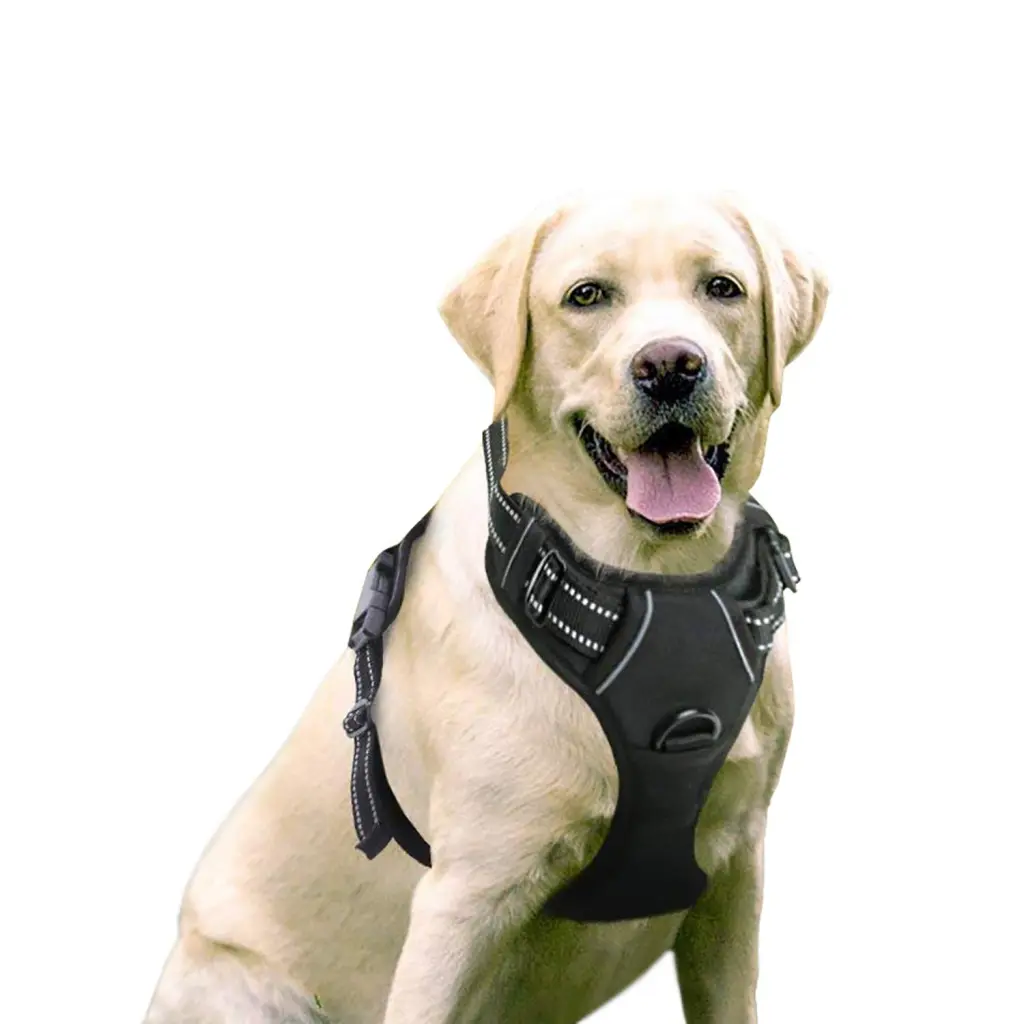 Medium and large dog vest type dog rope - Black