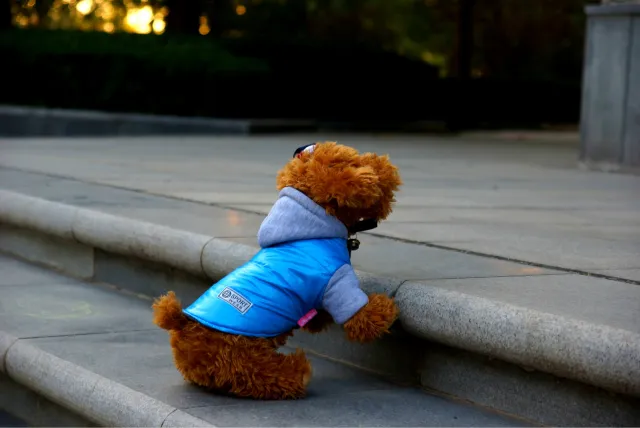 Autumn and winter dog clothes cotton vest Blue - Shop at LoveMi