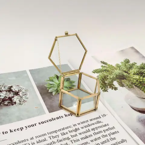 Mini Gold Eternal Flower Hexagon Glass Jewellery Ring Box