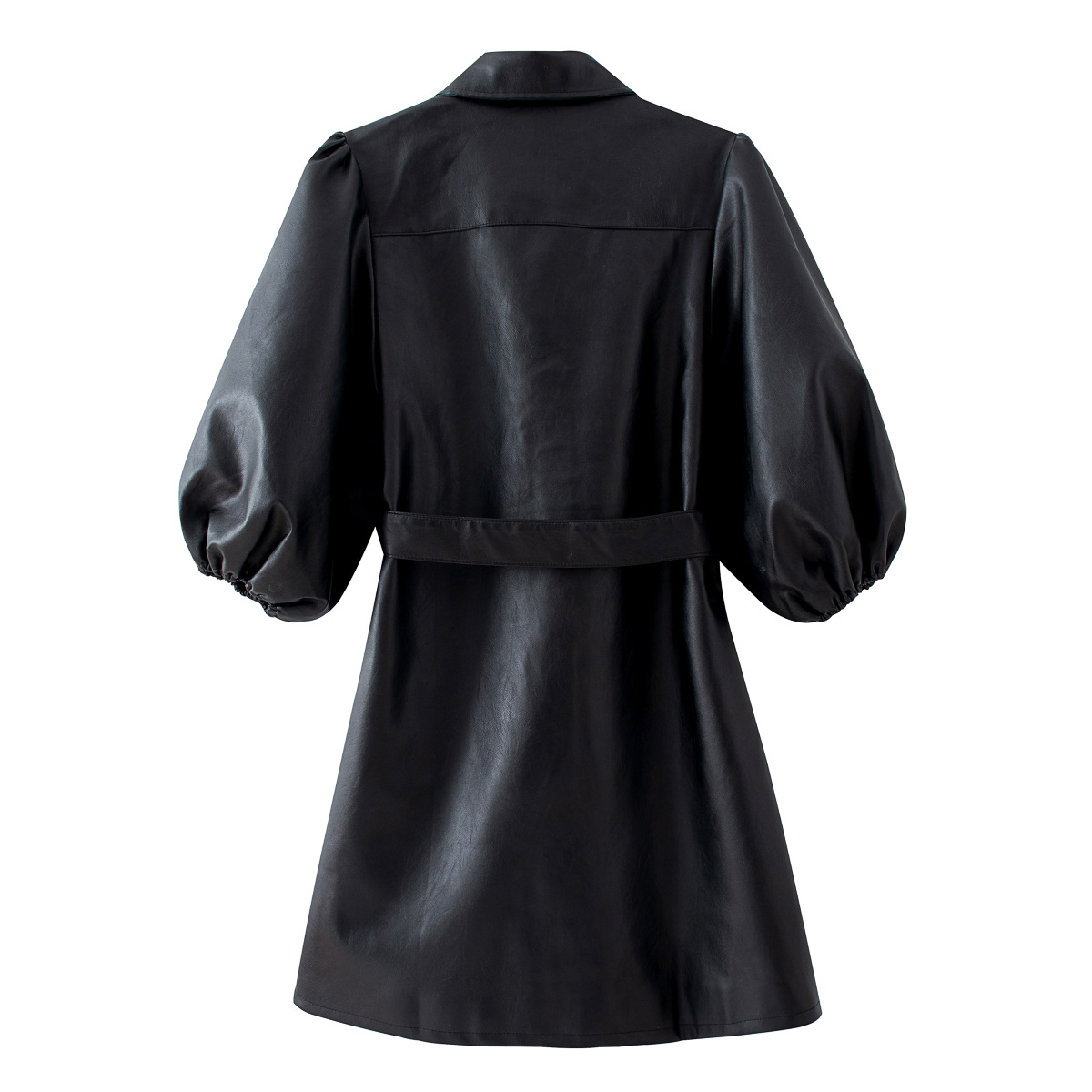 Lantern Sleeve Dress, picture 5 of 5