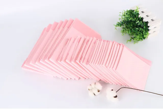 Pet Urine Pad Dog Urine Pad Deodorant Absorb Water Urine Not Wet S 100 Pieces - Shop at LoveMi
