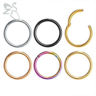 10 Pcs Nose Rings Surgical Steel Hinged Segment Ring Body Piercing Jewelry Earrings