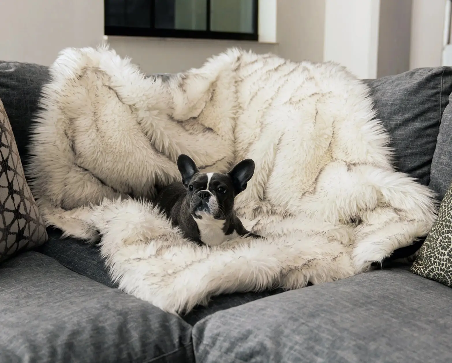 Fox Fur Waterproof Plush Dog House Blanket