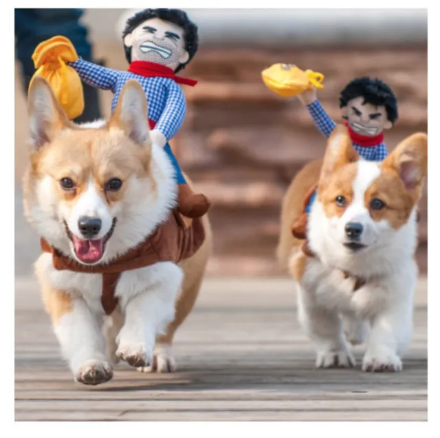 Riding clothes pet clothes - Shop at LoveMi