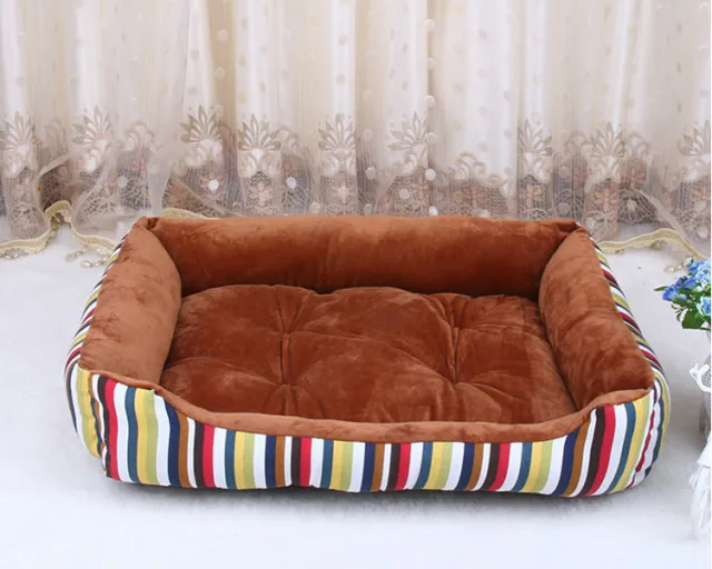 Teddy cat litter Yellow - Shop at LoveMi
